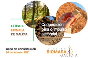 Constitución Clúster Biomasa Galicia